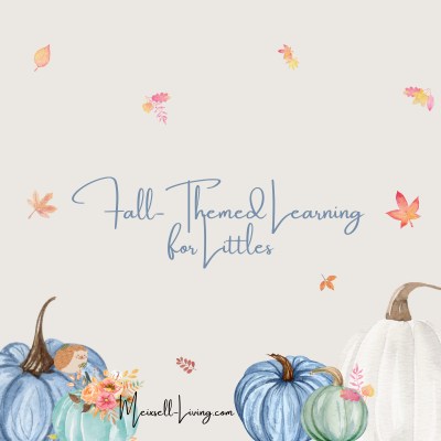 fall activities for homeschooling young children meixsell-living.com